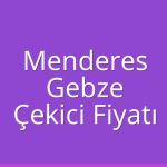 Menderes – Gebze Çekici Fiyatı