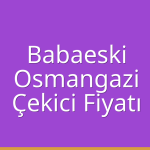 Babaeski – Osmangazi Çekici Fiyatı