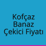Kofçaz – Banaz Çekici Fiyatı