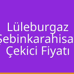 Lüleburgaz – Şebinkarahisar Çekici Fiyatı