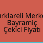 Kırklareli Merkez – Bayramiç Çekici Fiyatı