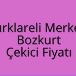 Kırklareli Merkez – Bozkurt Çekici Fiyatı