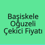 Başiskele – Oğuzeli Çekici Fiyatı
