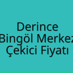 Derince – Bingöl Merkez Çekici Fiyatı