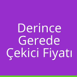 Derince – Gerede Çekici Fiyatı