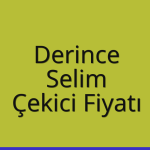 Derince – Selim Çekici Fiyatı
