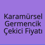 Karamürsel – Germencik Çekici Fiyatı
