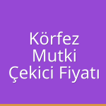 Körfez – Mutki Otobüs Çekici Çekici Fiyatı