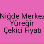 Niğde Merkez – Yüreğir Çekici Fiyatı