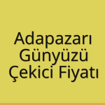Adapazarı – Günyüzü Çekici Fiyatı