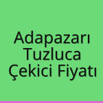 Adapazarı – Tuzluca Çekici Fiyatı