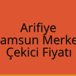 Arifiye – Samsun Merkez Çekici Fiyatı