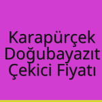 Karapürçek – Doğubayazıt Çekici Fiyatı