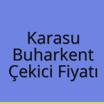 Karasu – Buharkent Çekici Fiyatı