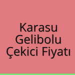 Karasu – Gelibolu Çekici Fiyatı