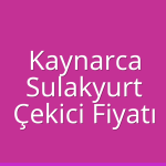 Kaynarca – Sulakyurt Çekici Fiyatı