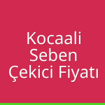 Kocaali – Seben Çekici Fiyatı