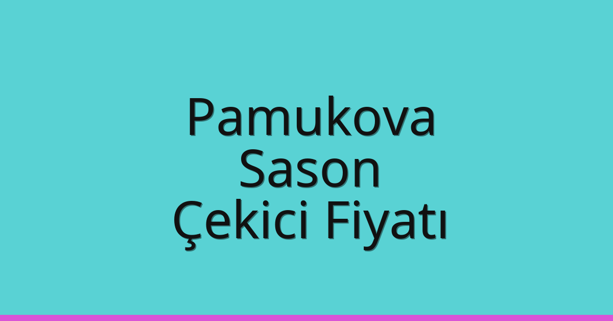 Pamukova – Sason Çekici Fiyatı