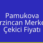 Pamukova – Erzincan Merkez Çekici Fiyatı