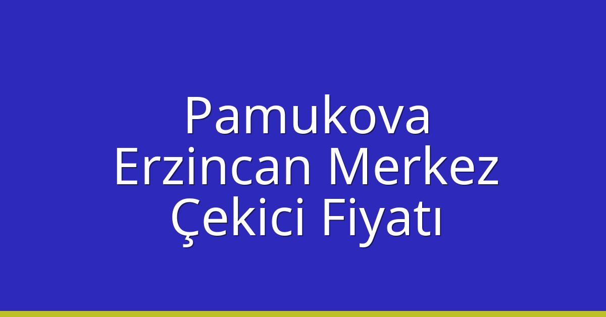 Pamukova – Erzincan Merkez Çekici Fiyatı Pamukova – Erzincan Merkez Çekici Fiyatı