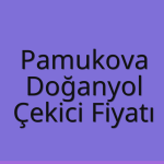 Pamukova – Doğanyol Çekici Fiyatı