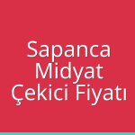 Sapanca – Midyat Çekici Fiyatı