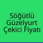 Söğütlü – Güzelyurt Çekici Fiyatı