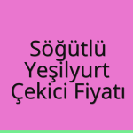 Söğütlü – Yeşilyurt Çekici Fiyatı