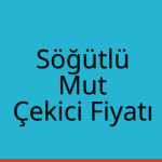Söğütlü – Mut Çekici Fiyatı