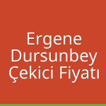 Ergene – Dursunbey Çekici Fiyatı