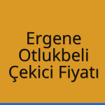 Ergene – Otlukbeli Çekici Fiyatı