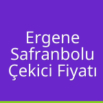 Ergene – Safranbolu Çekici Fiyatı