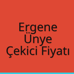 Ergene – Ünye Çekici Fiyatı