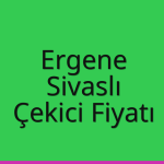 Ergene – Sivaslı Çekici Fiyatı