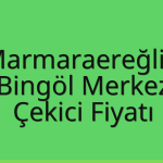 Marmaraereğlisi – Bingöl Merkez Çekici Fiyatı