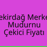 Tekirdağ Merkez – Mudurnu Çekici Fiyatı