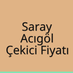 Saray – Acıgöl Çekici Fiyatı