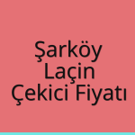 Şarköy – Laçin Çekici Fiyatı