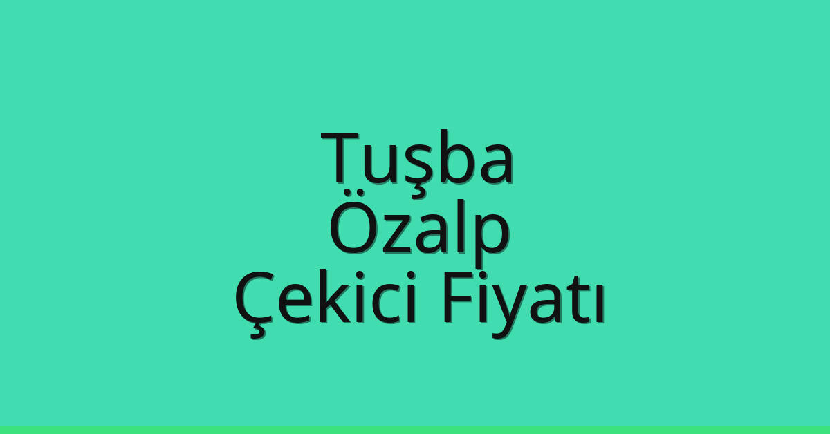 Tuşba – Özalp Çekici Fiyatı