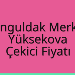 Zonguldak Merkez – Yüksekova Çekici Fiyatı
