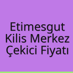 Etimesgut – Kilis Merkez Çekici Fiyatı