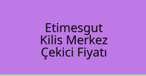 Etimesgut – Kilis Merkez Çekici Fiyatı