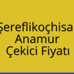 Şereflikoçhisar – Anamur Çekici Fiyatı