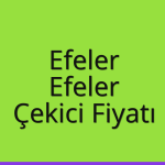 Efeler – Efeler Çekici Fiyatı