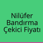 Nilüfer – Bandırma Çekici Fiyatı