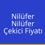 Nilüfer – Nilüfer Çekici Fiyatı