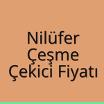 Nilüfer – Çeşme Çekici Fiyatı