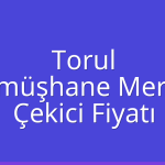 Torul – Gümüşhane Merkez Çekici Fiyatı