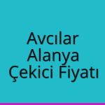 Avcılar – Alanya Çekici Fiyatı