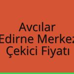 Avcılar – Edirne Merkez Çekici Fiyatı